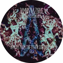 Picture of Damian Lazarus & The Ancient Moons