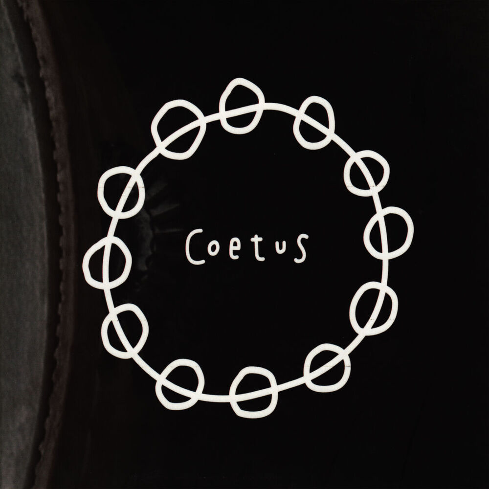 Picture of Coetus