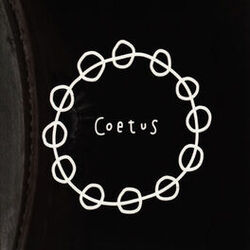 Picture of Coetus