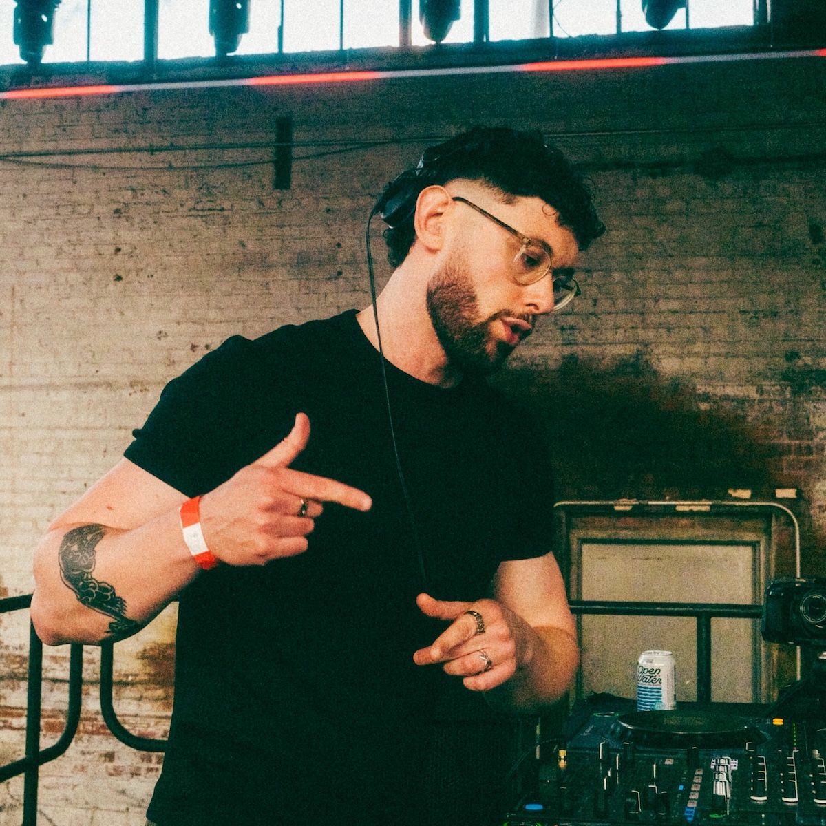 Artist picture of Bushbaby