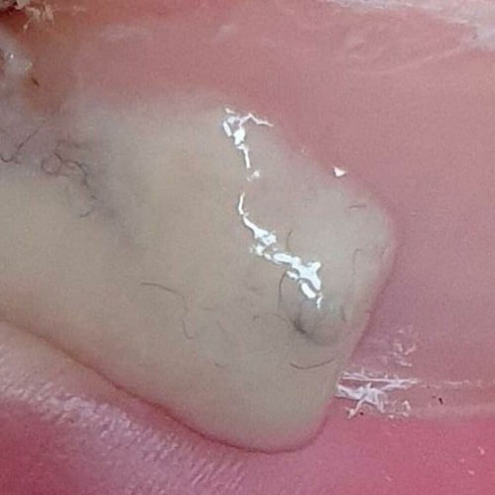 Picture of Evil Dust