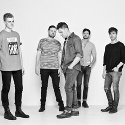 Picture of Wild Cub