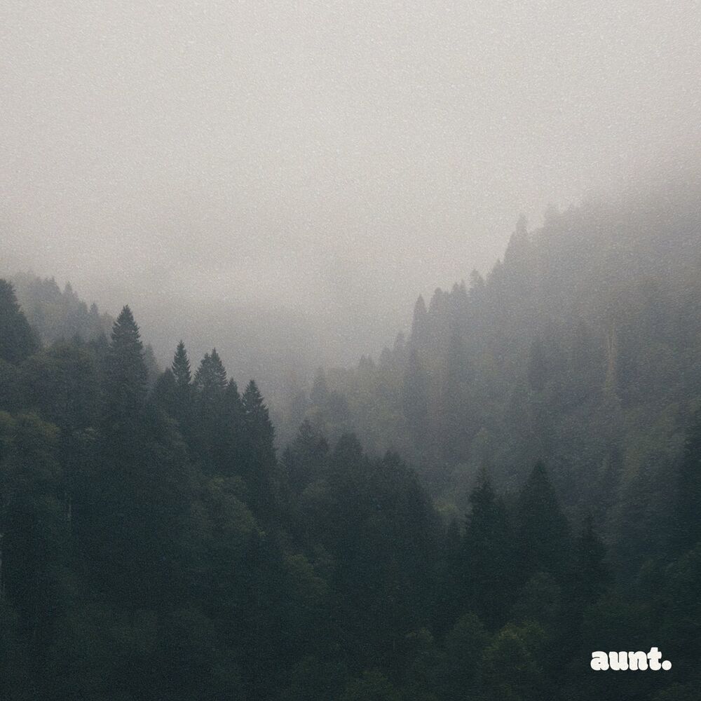Picture of aunt