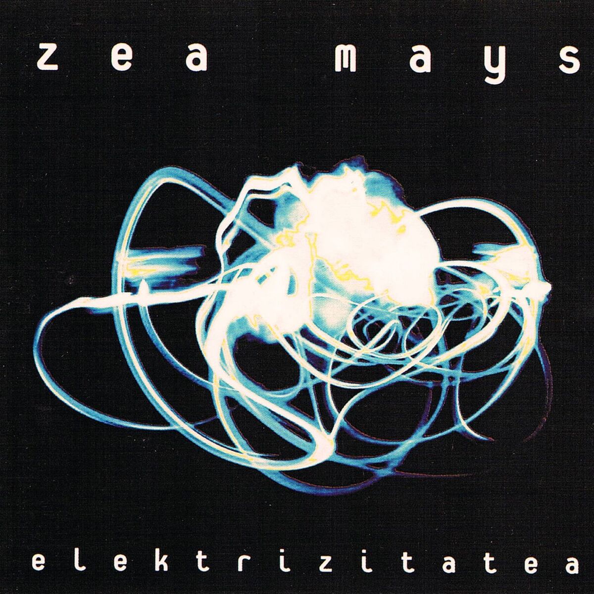 Zea Mays