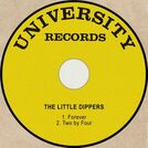 The Little Dippers