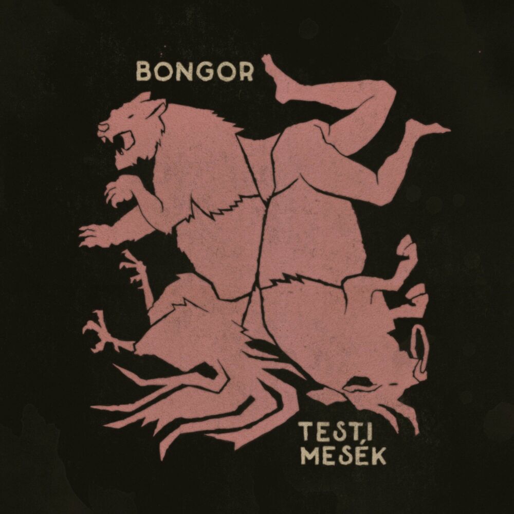 Picture of bongor