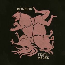 Picture of bongor