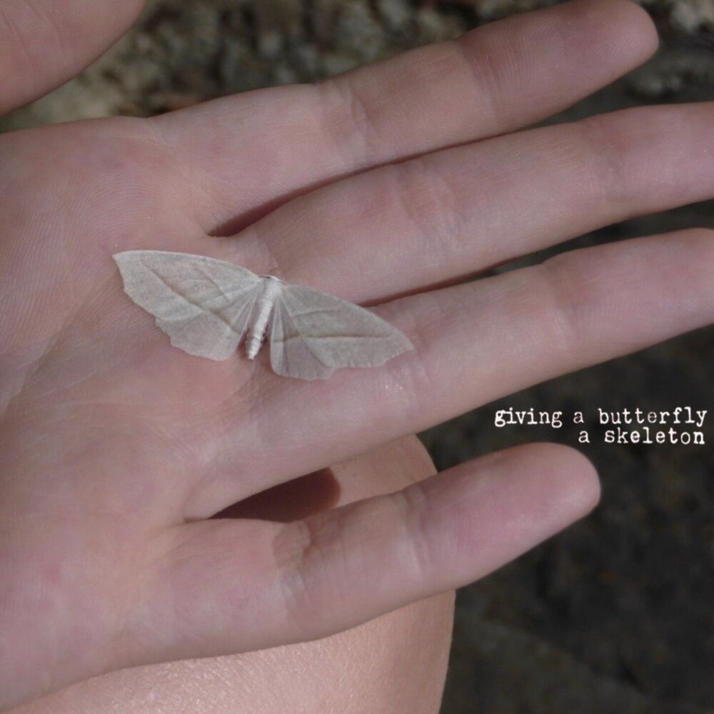 Picture of giving a butterfly a skeleton