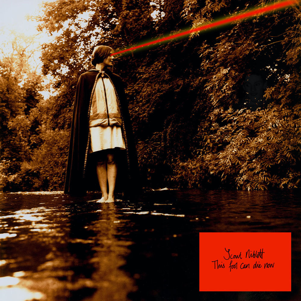 Picture of Scout Niblett