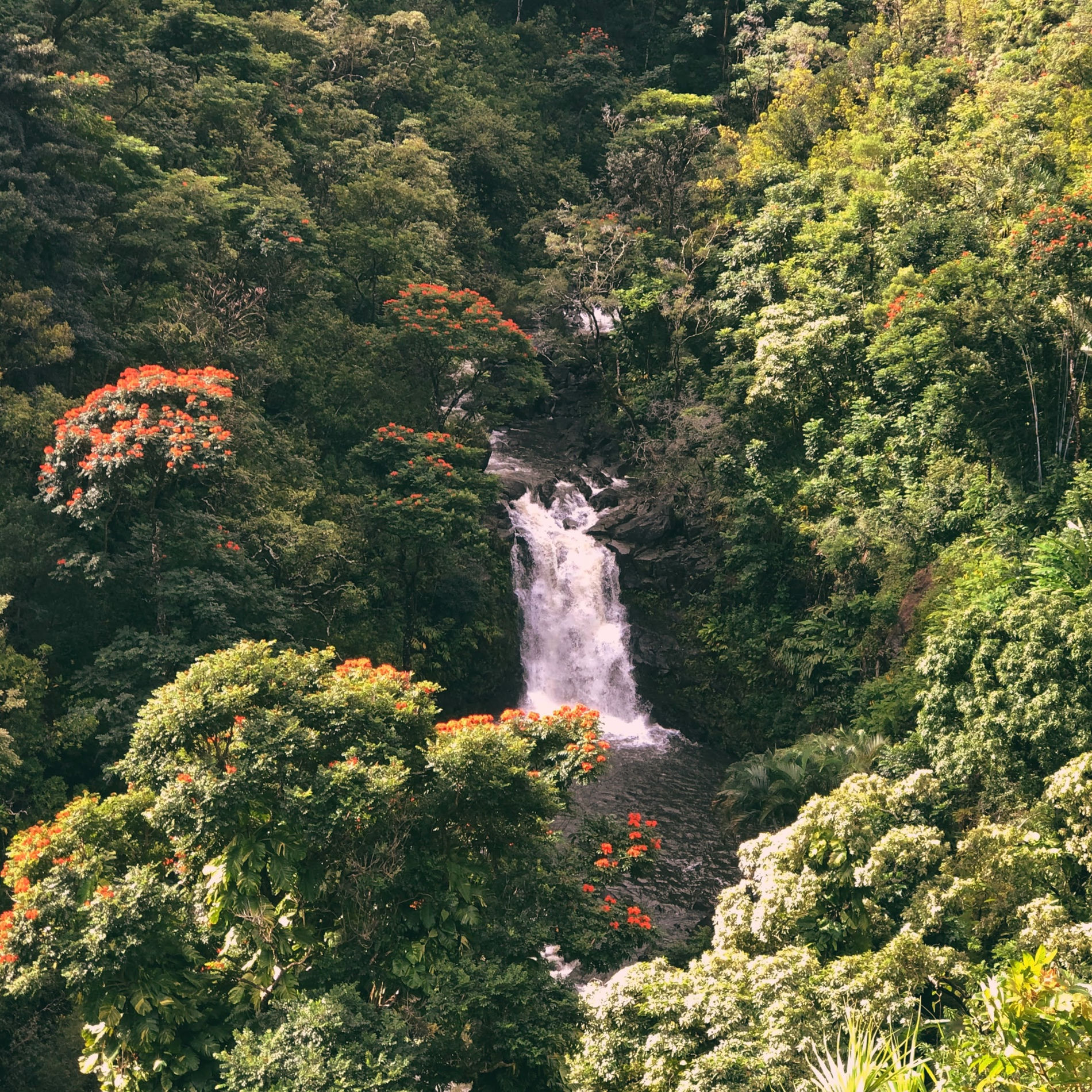 Artist picture of invention_