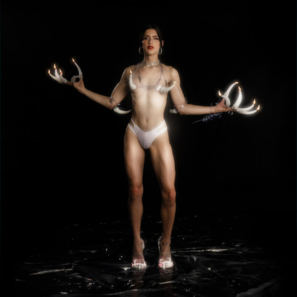 Picture of Arca