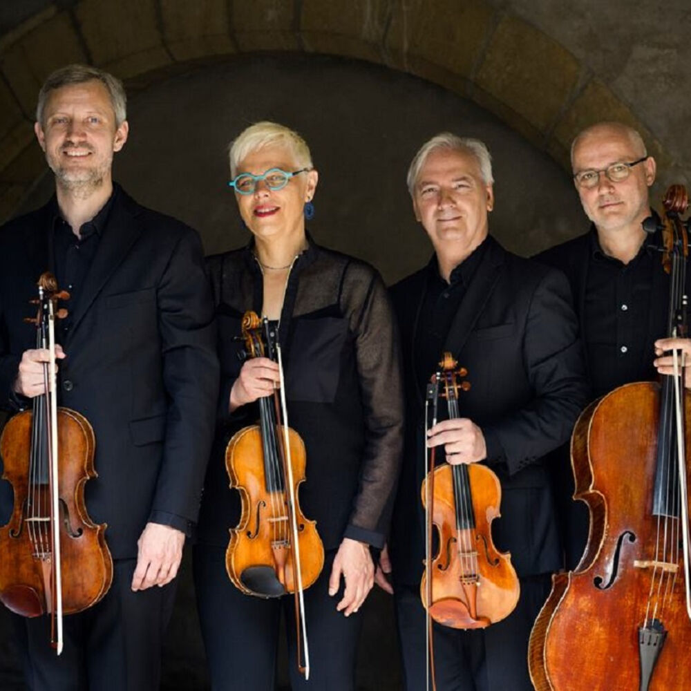 Picture of Quatuor Manfred
