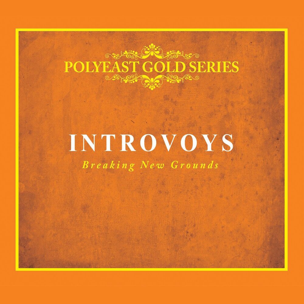 Picture of Introvoys