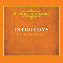 Picture of Introvoys