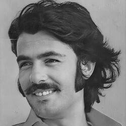Picture of Ferdi Tayfur