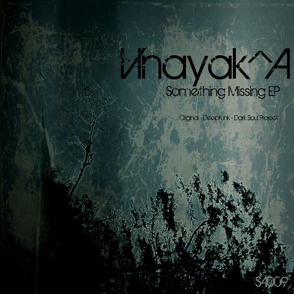 Picture of Vinayak A