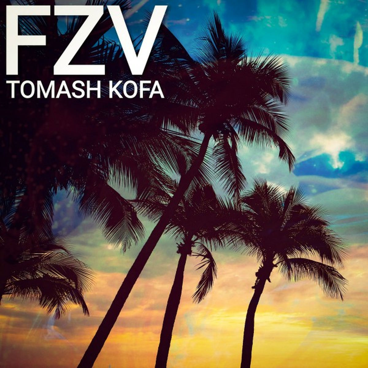 Tomash Kofa
