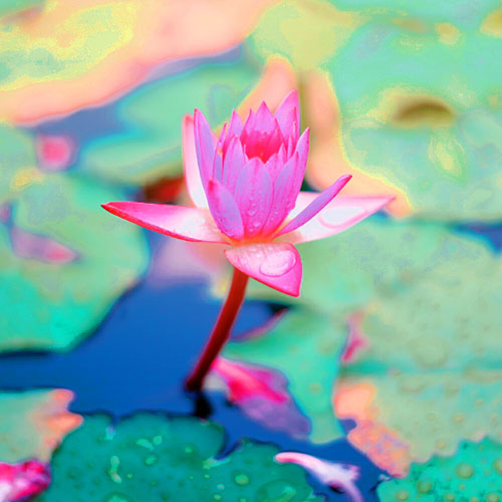 Picture of Meditation Spa