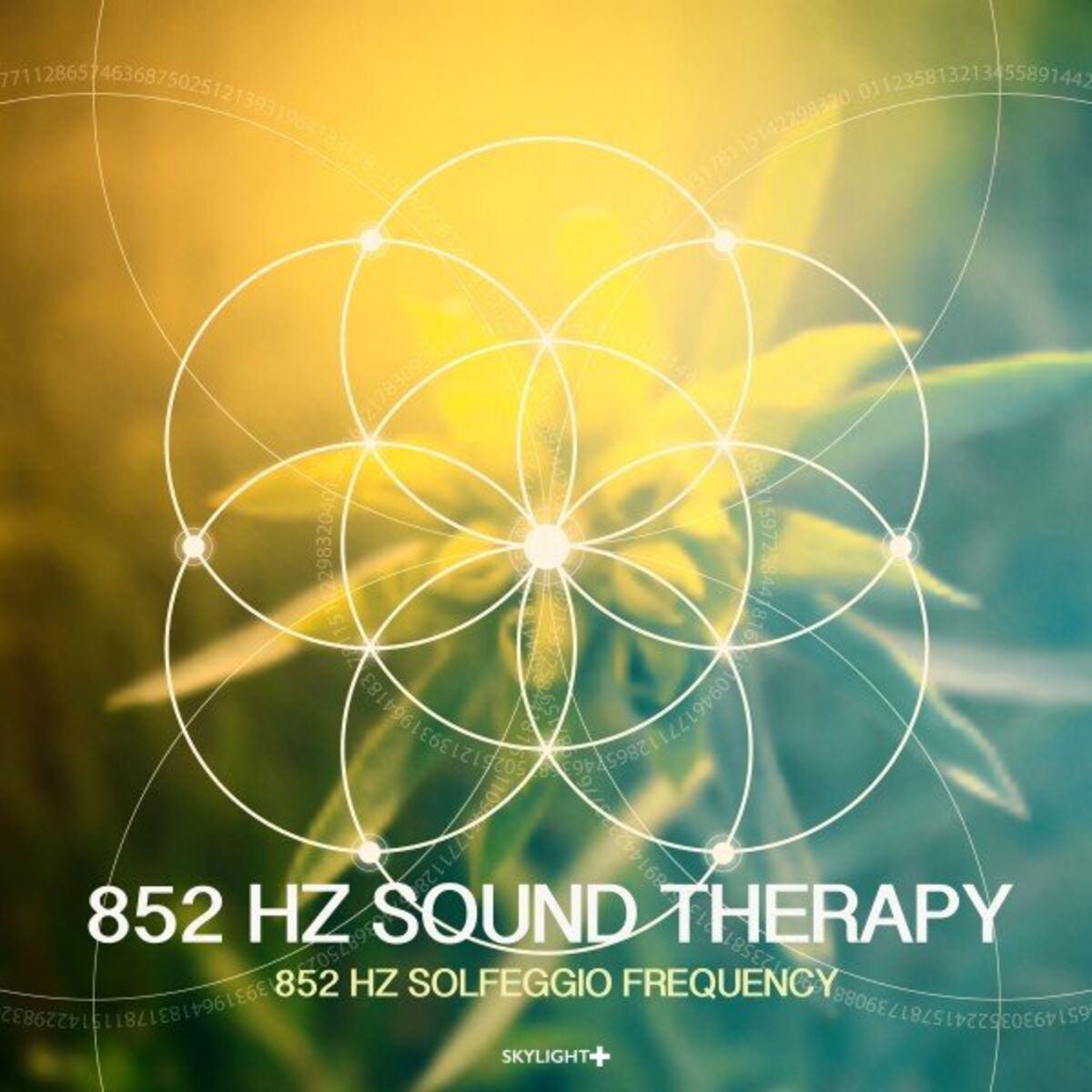 Artist picture of 852 Hz Sound Therapy