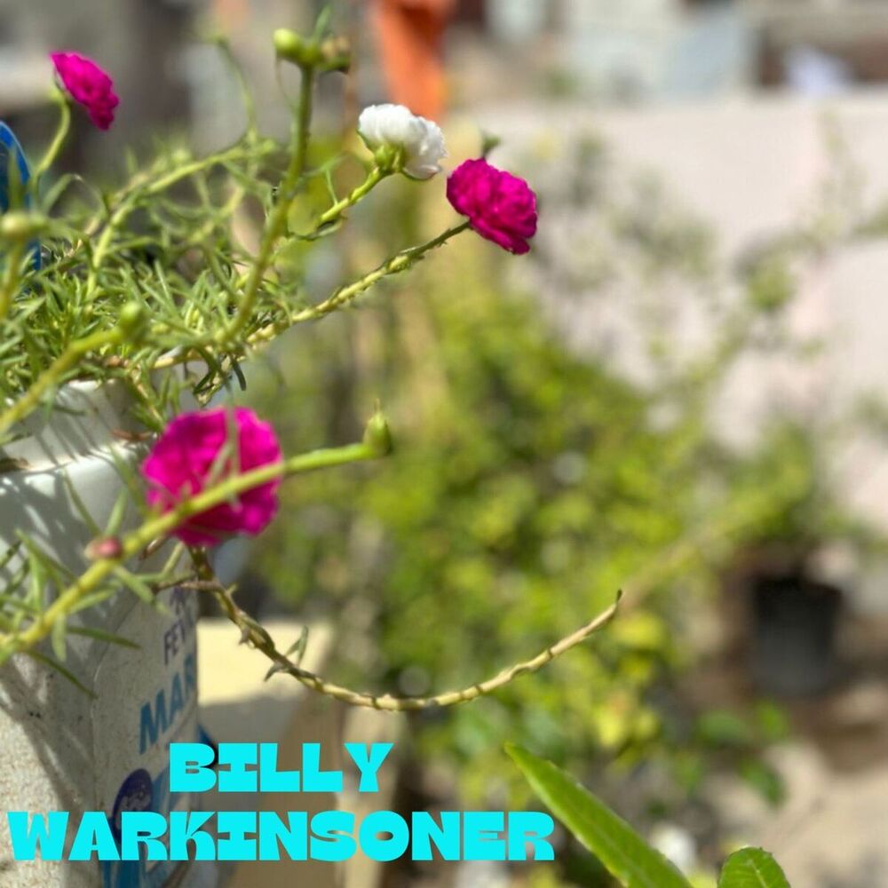 Picture of Billy warkinsoner