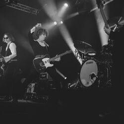 Picture of Los Zigarros