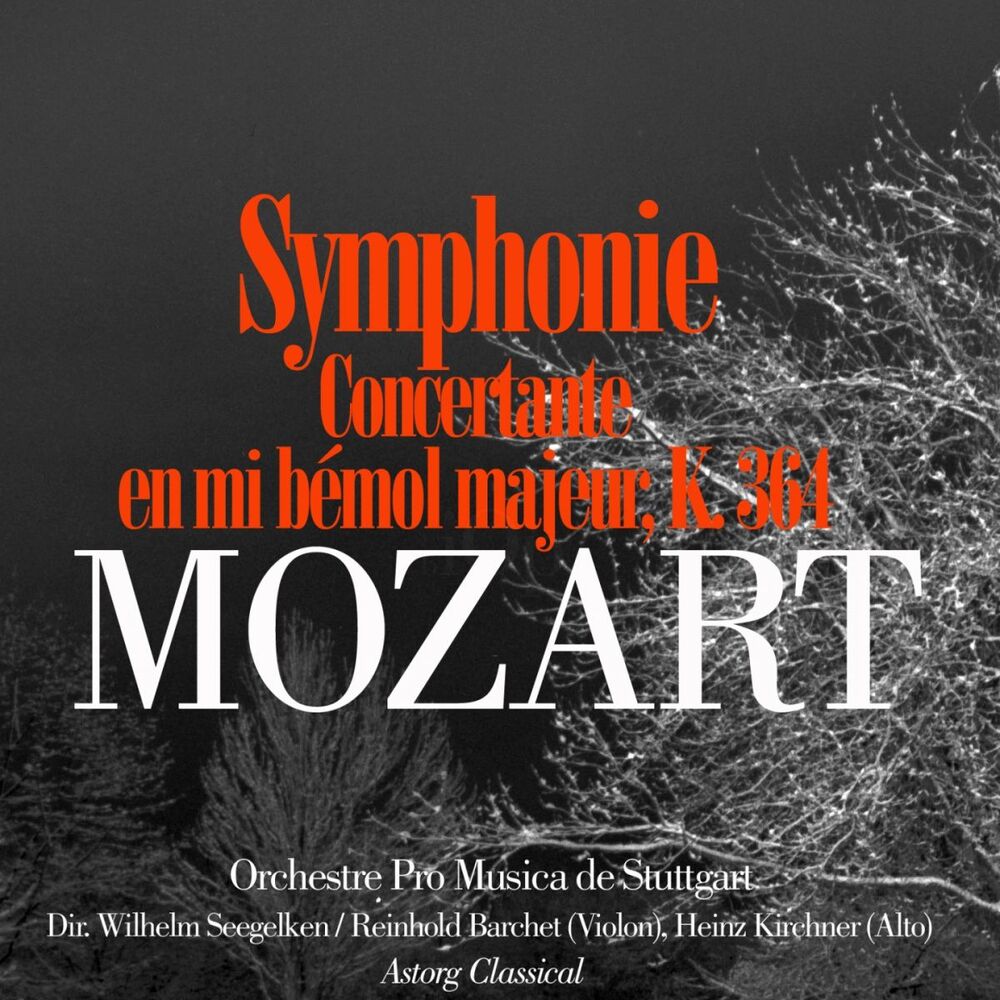 Picture of Orchestre Pro Musica de Stuttgart