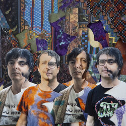 Picture of Animal Collective
