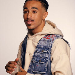 Picture of Low Jay
