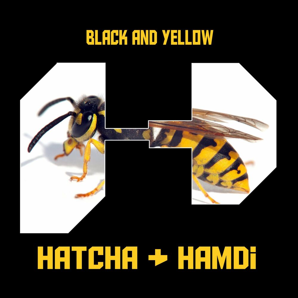 Picture of Hatcha