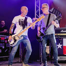 Toadies