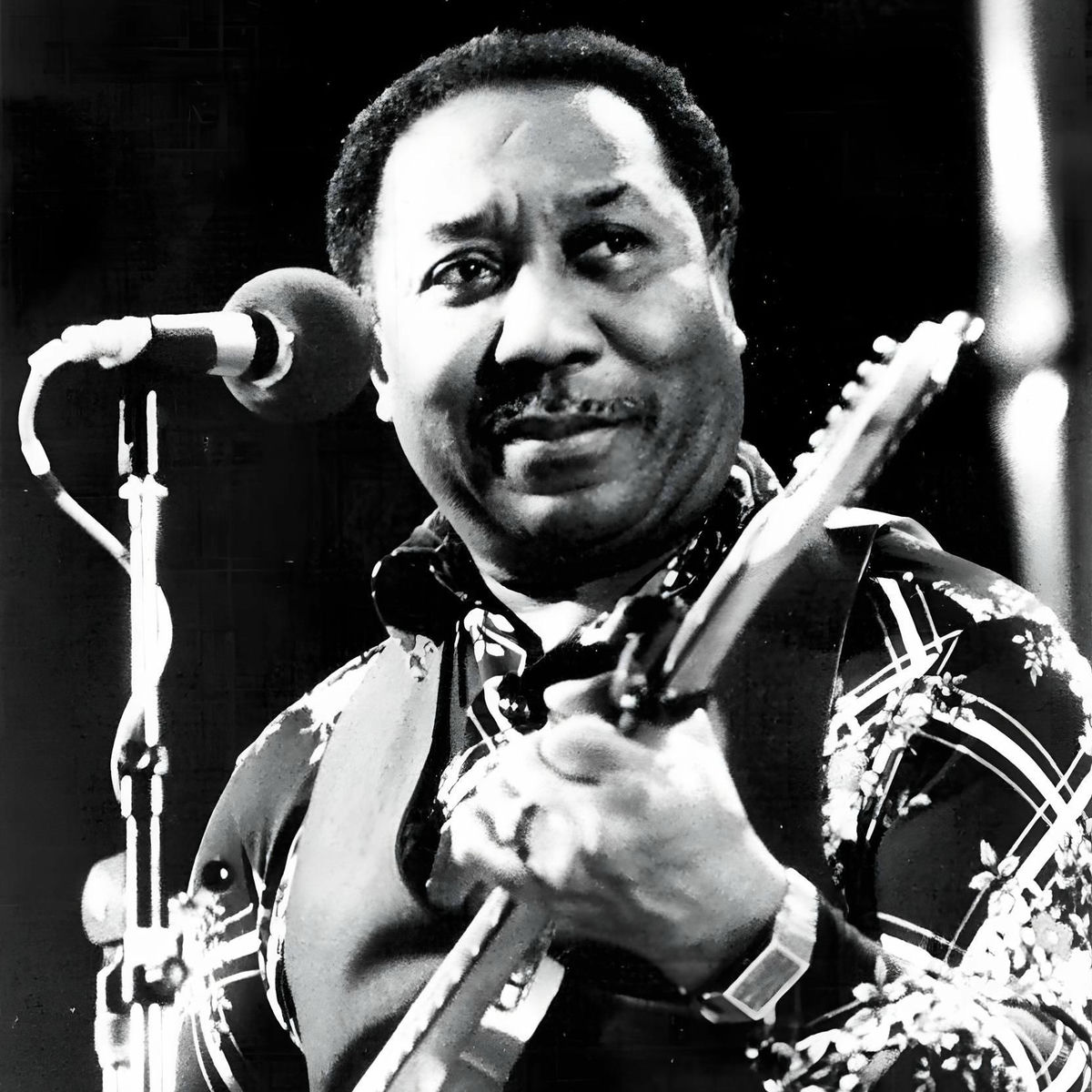 Artist picture of Muddy Waters