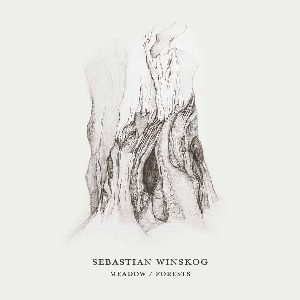 Picture of Sebastian Winskog