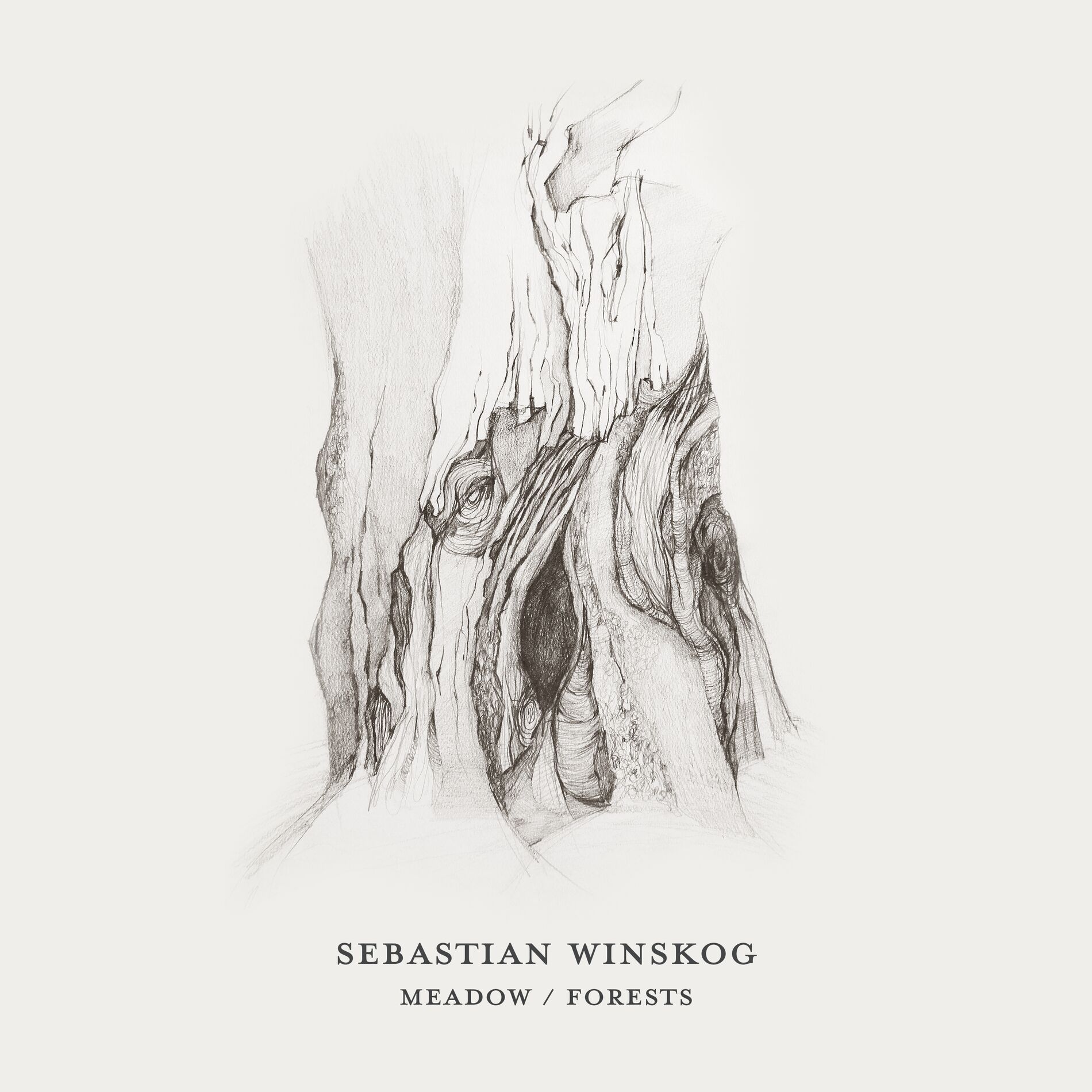 Sebastian Winskog