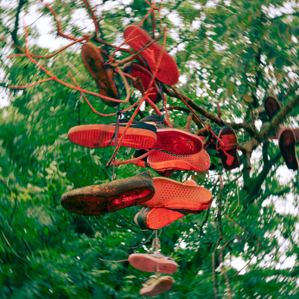 Photo de l'artiste Mees Javois