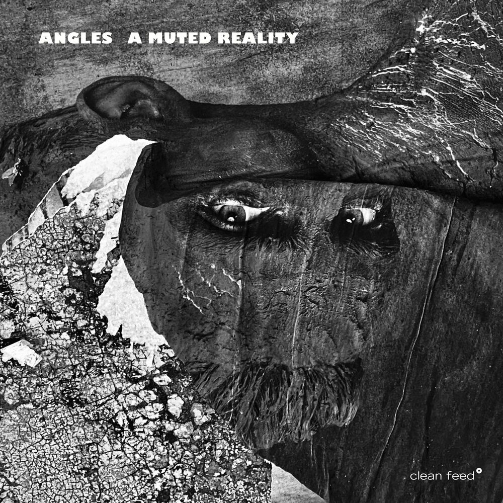 Picture of ANGLES