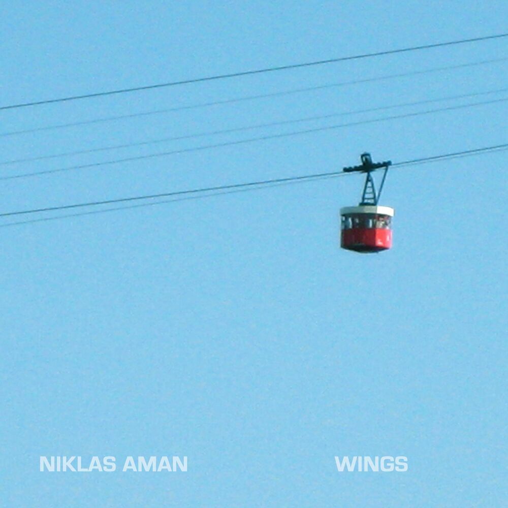 Picture of Niklas Aman