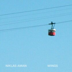 Picture of Niklas Aman