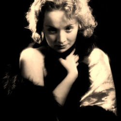 Picture of Marlene Dietrich
