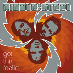 Picture of Riddle of Steel