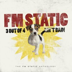 Picture of FM Static