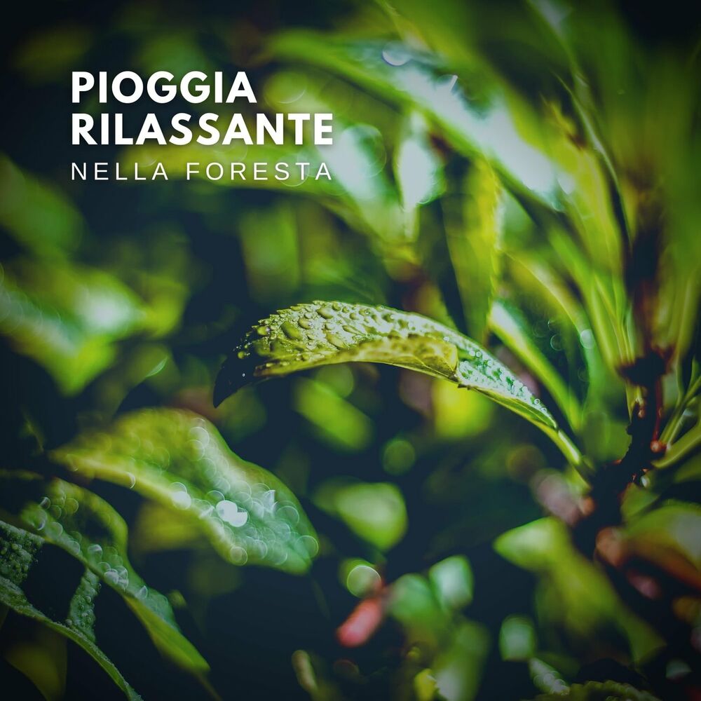 Picture of Pioggia rilassante
