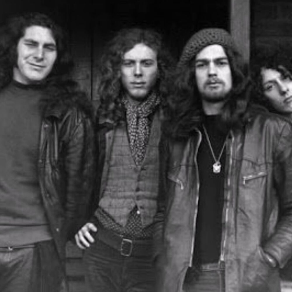 Picture of The Pink Fairies