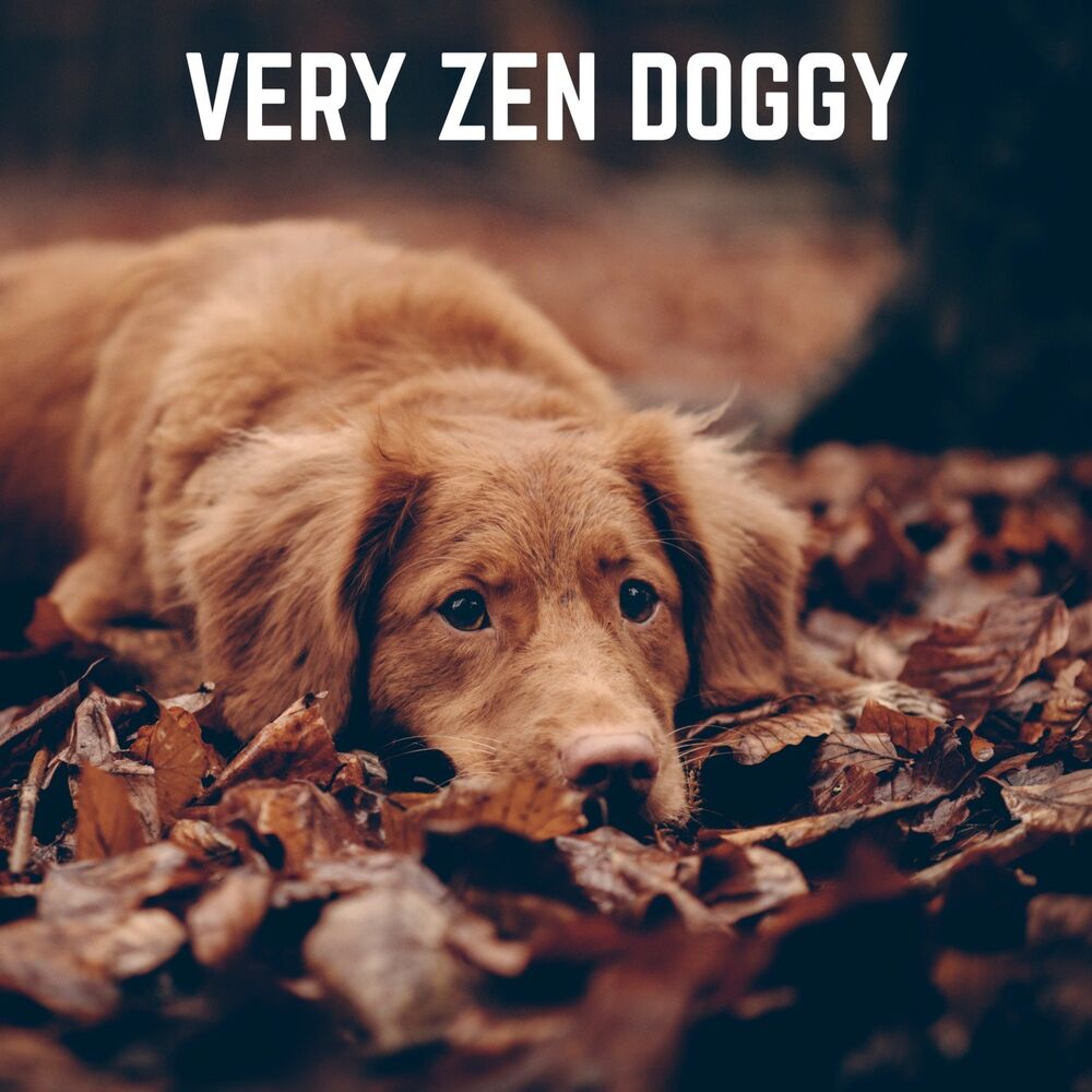 Picture of Music for Calming Dogs