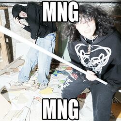 Picture of Mng