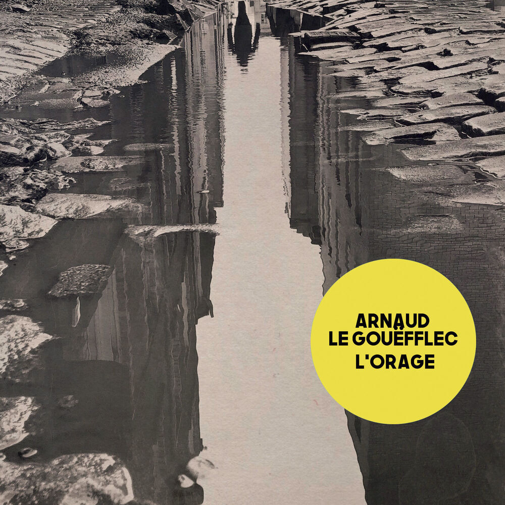 Picture of Arnaud Le Gouefflec