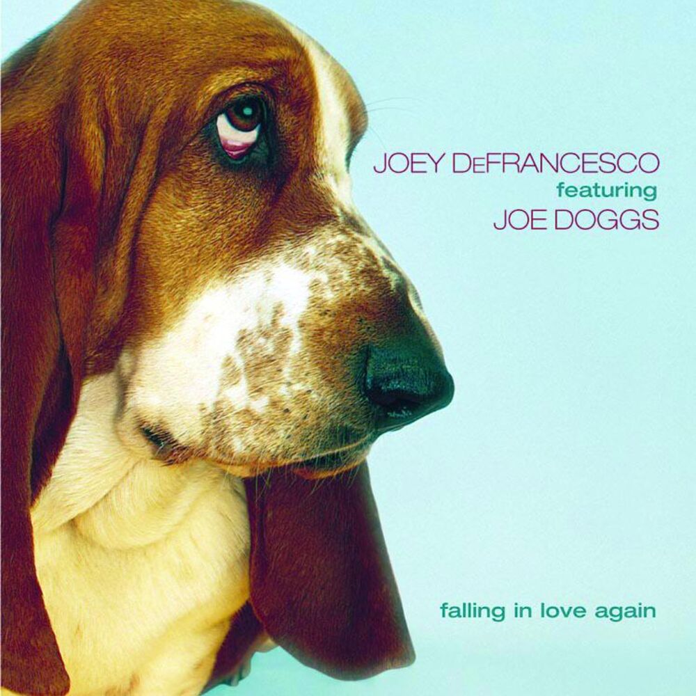 Picture of Joe Doggs