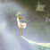 Image of Urselle