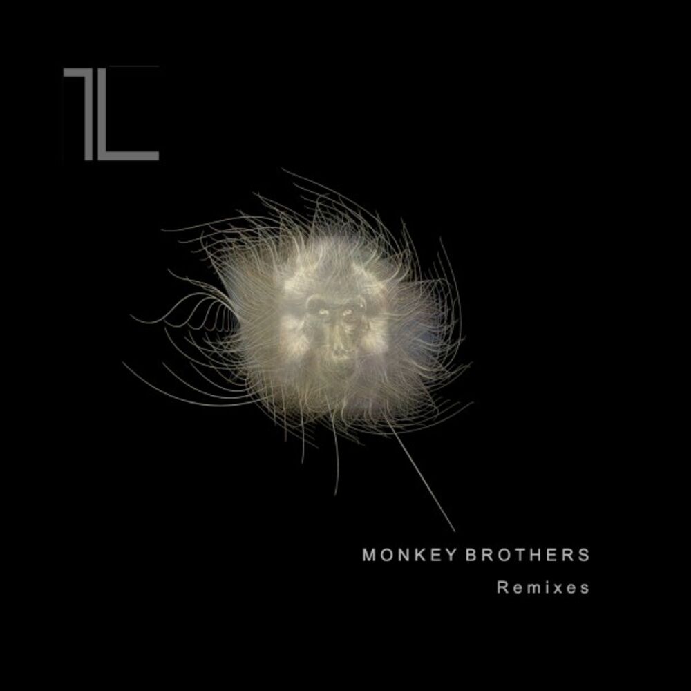 Picture of Monkey Brothers