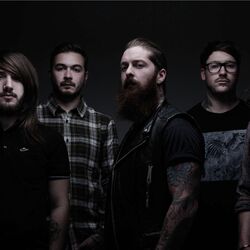 Picture of Feed The Rhino