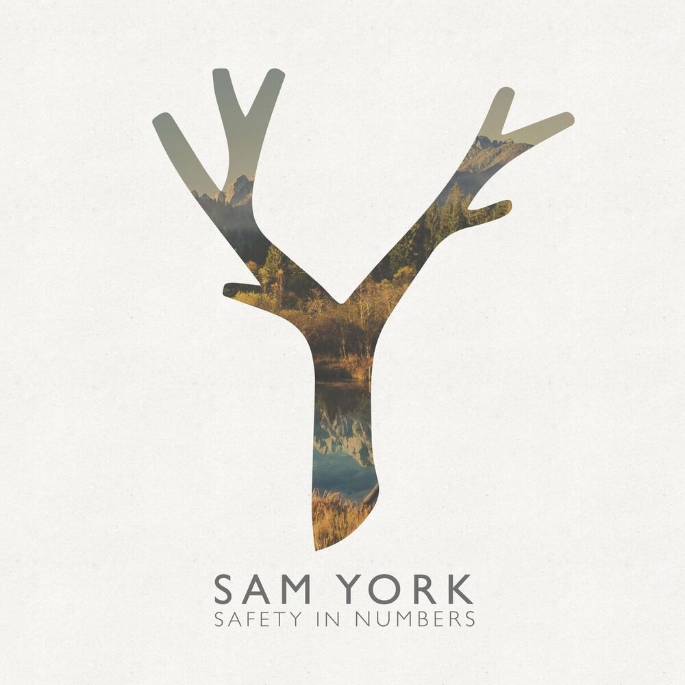 Picture of Sam York